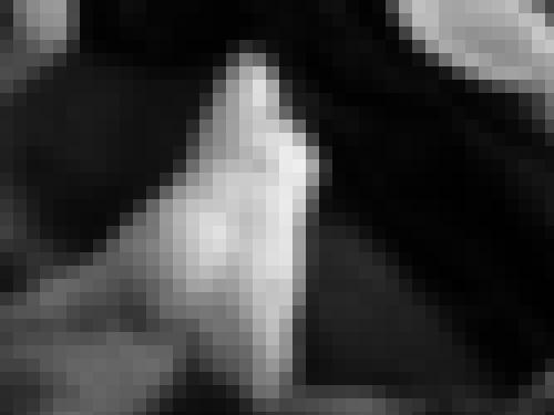 Foto de Canopus en Photo sage