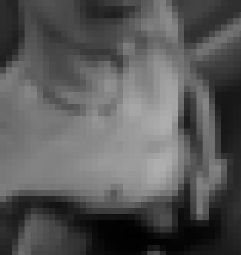 Photo from Canopus into Open to everyone