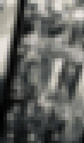 Photo from Canopus into Open to everyone