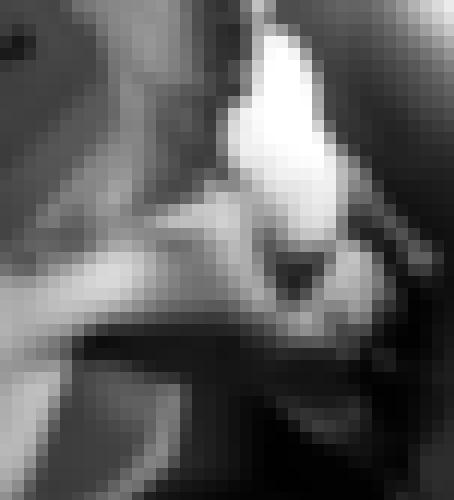 Foto de Canopus en Abierto a todos