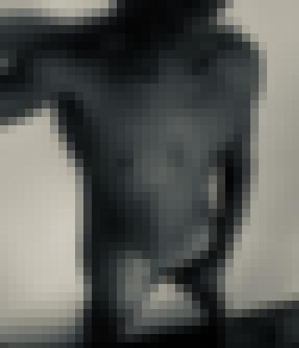 Photo from Canopus into Open to everyone