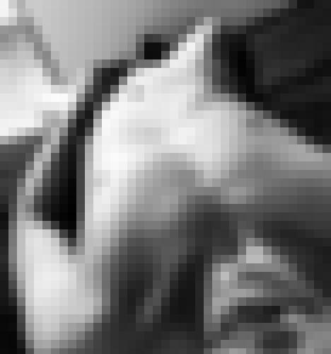 Photo from Canopus into Open to everyone