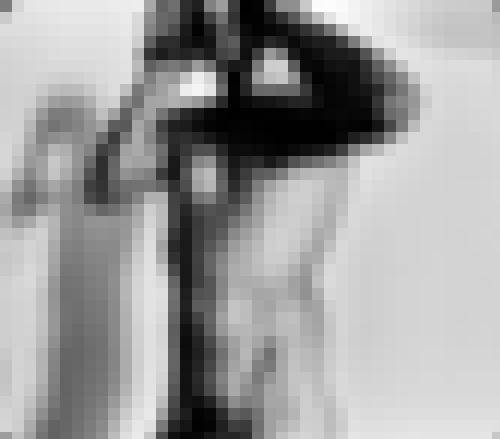 Foto de Canopus en Abierto a todos