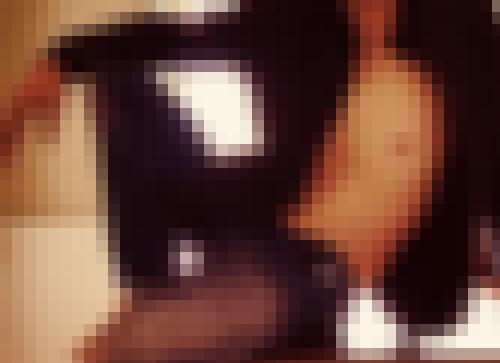 Photo from Canopus into Open to everyone