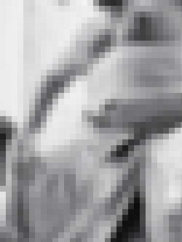 Foto de Barbossa en Sous la douche