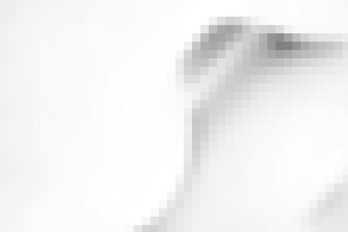 Photo from Eleonore59 into Open to everyone