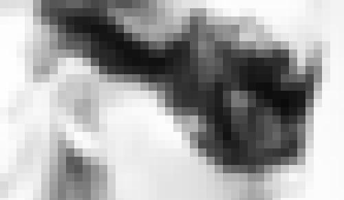 Photo from Light94 into Ombres et dentelles