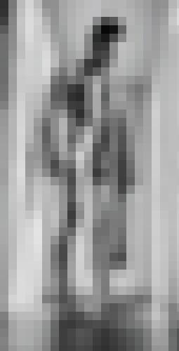 Photo from Bolion69 into Un détail ...