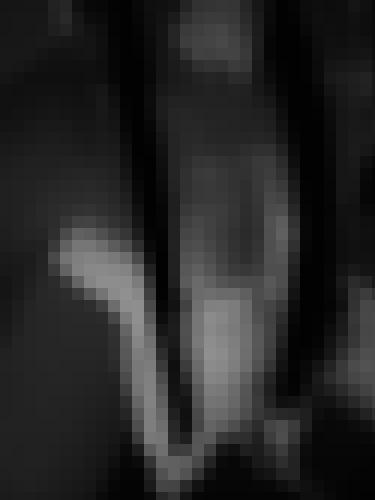 Photo from Bolion69 into Un détail ...