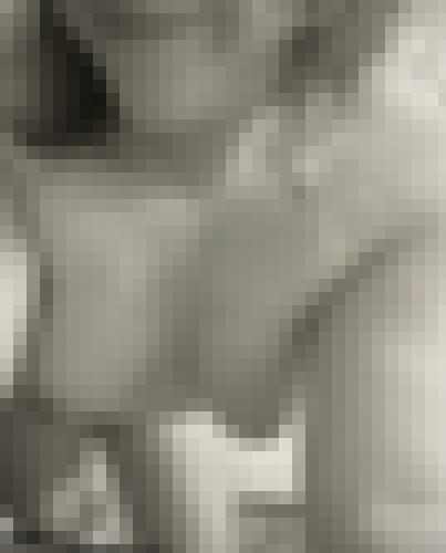 Photo from AmortentiaA into Sous la douche