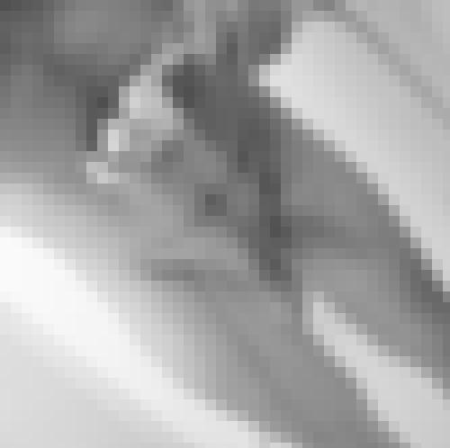 Foto de Breizh56 en Jouer avec le pommeau de douche