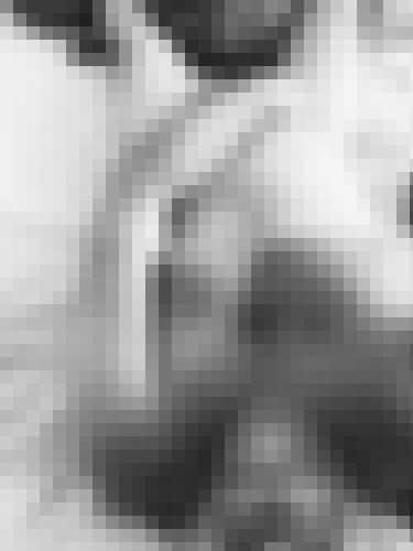 Foto de Breizh56 en Abierto a todos