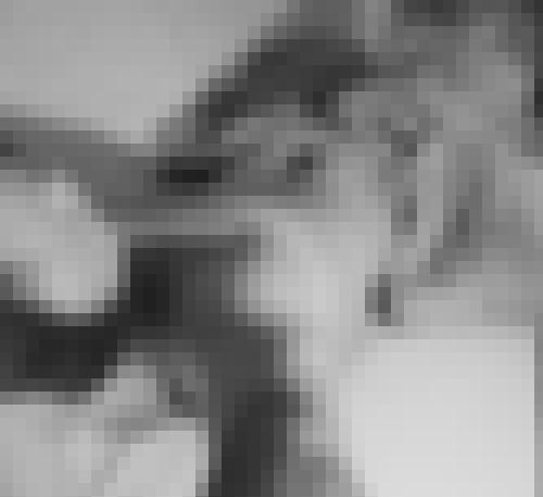 Photo from Breizh56 into Open to everyone