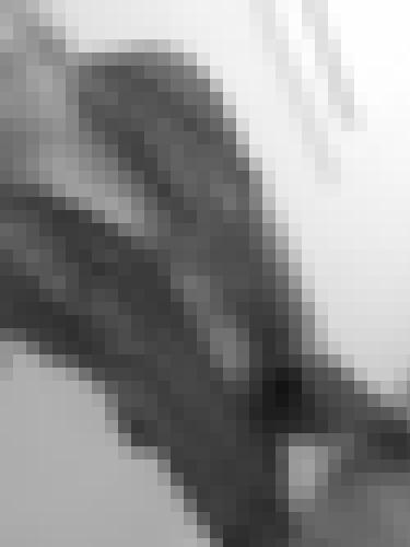 Foto de Breizh56 en VSC