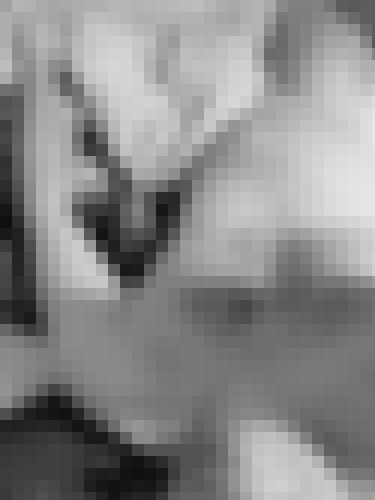 Photo from Breizh56 into Open to everyone