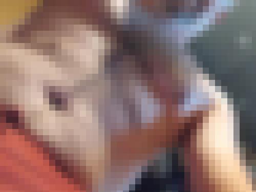 Photo from Well into Tous au sport !