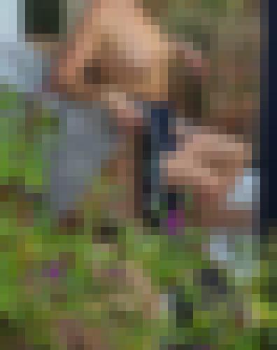 Foto de Tifi en Provocation