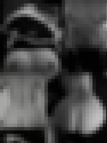 Foto de Tifi en Abierto a todos