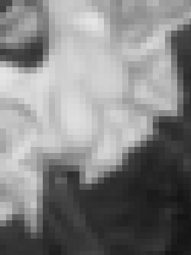 Photo from Loau25 into Open to everyone