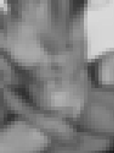 Foto de Loau25 en Abierto a todos