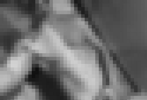 Foto de Loau25 en Abierto a todos