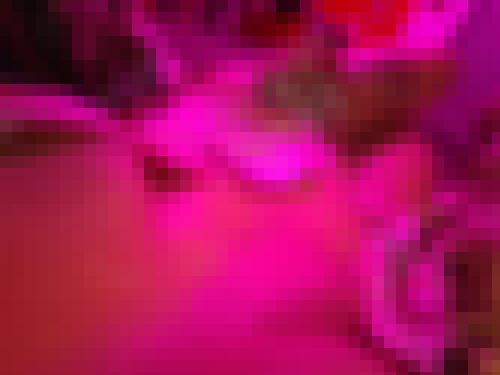 Photo from Wxy81 into Octobre rose