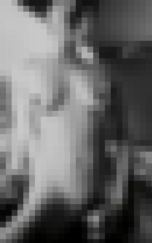 Foto de Wxy81 en 10 dernières photos éphémères