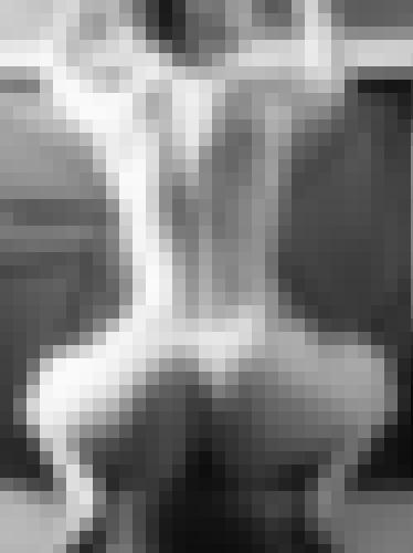 Photo from Wxy81 into Tatouages