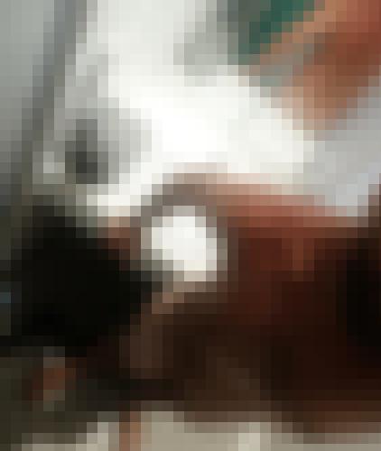 Foto de Mr.J en Dans la salle de bain