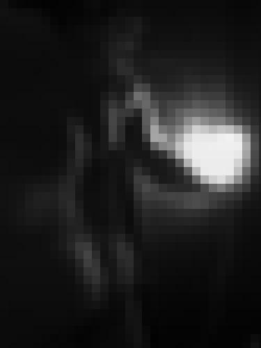 Photo from CuistotCoquin into La nuit
