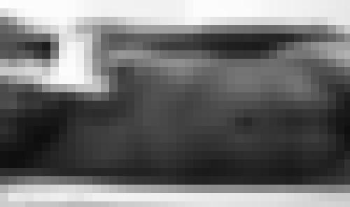 Photo from Slonely into Photo sage