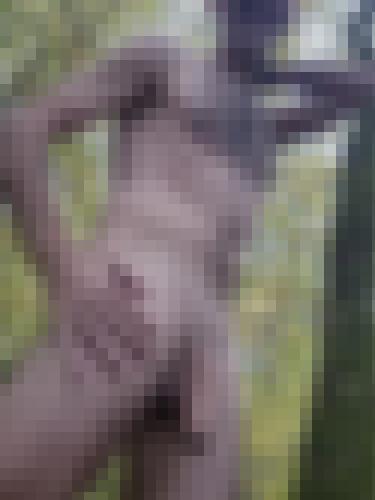 Foto de Pierrou en Feuilles d'automne, coquines couronnes