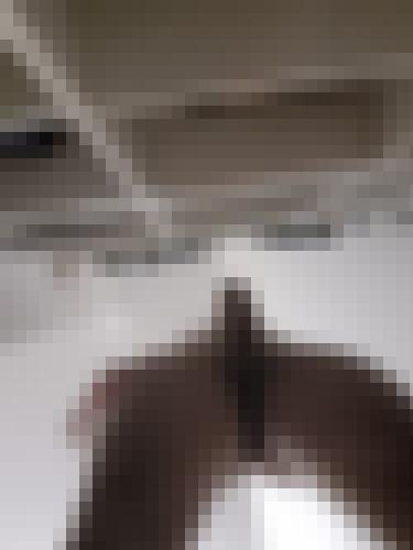 Foto de Pierrou en Abierto a todos