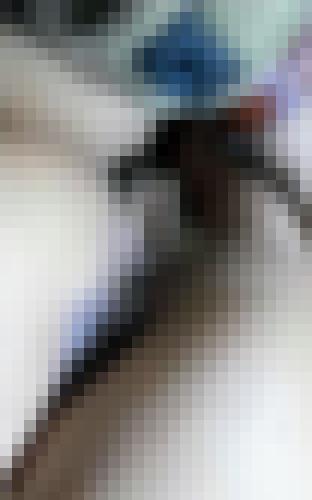 Photo from Lolometisse into Privé !