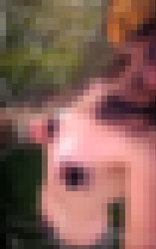 Photo from Lexie.T into Frayeur d'Halloween