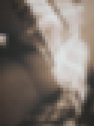 Photo from Lexie.T into VSC