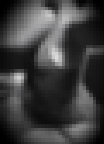 Foto de Lexie.T en Contraste