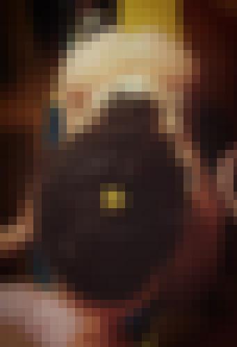 Photo from Lexie.T into Avec ma langue je ...