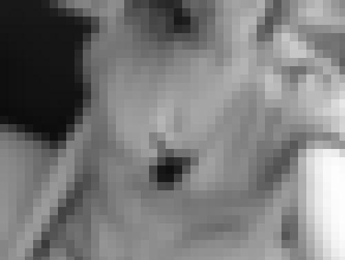 Foto de Lexie.T en Photo sage