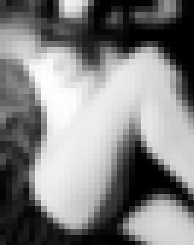 Photo from Lexie.T into A contre-jour