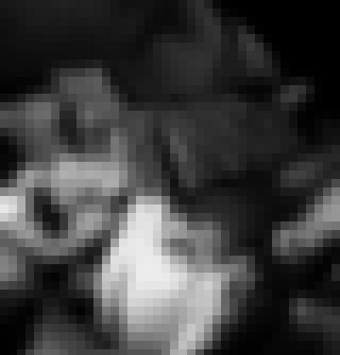 Photo from Lexie.T into Fin d'année coquine