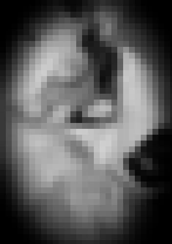 Foto de Lexie.T en Fin d'année coquine