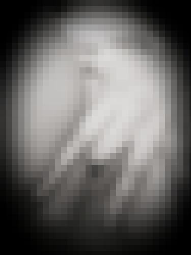 Photo from Lexie.T into Main baladeuse