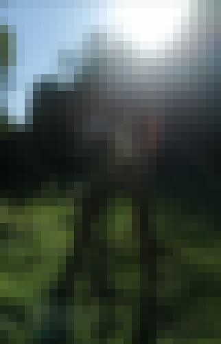 Photo from Doux25 into A contre-jour