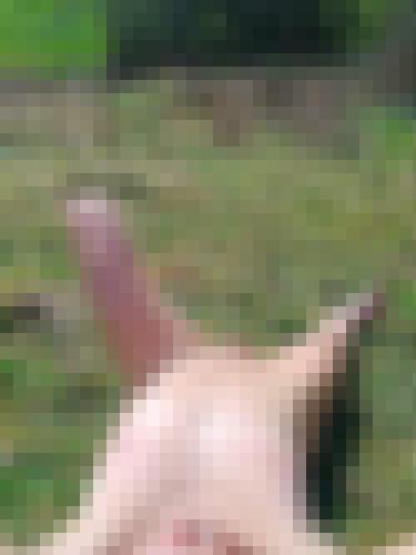 Photo from Doux25 into En pleine nature