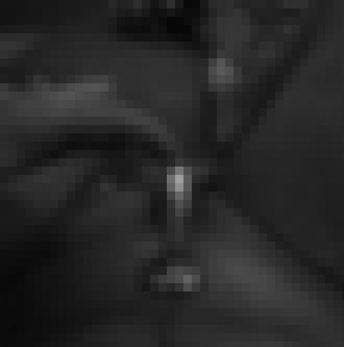 Photo from Doux25 into Un détail ...