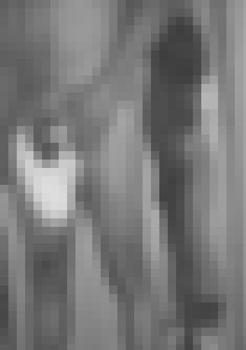 Foto de Doux25 en 10 dernières photos éphémères