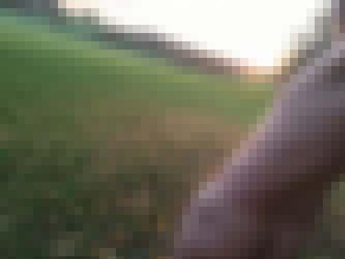 Foto de Doux25 en VSC