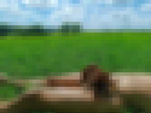 Photo from Doux25 into Défis de jeux et scénarios