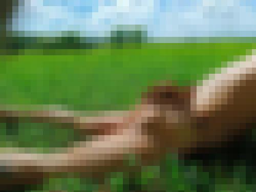 Photo from Doux25 into Défis de jeux et scénarios